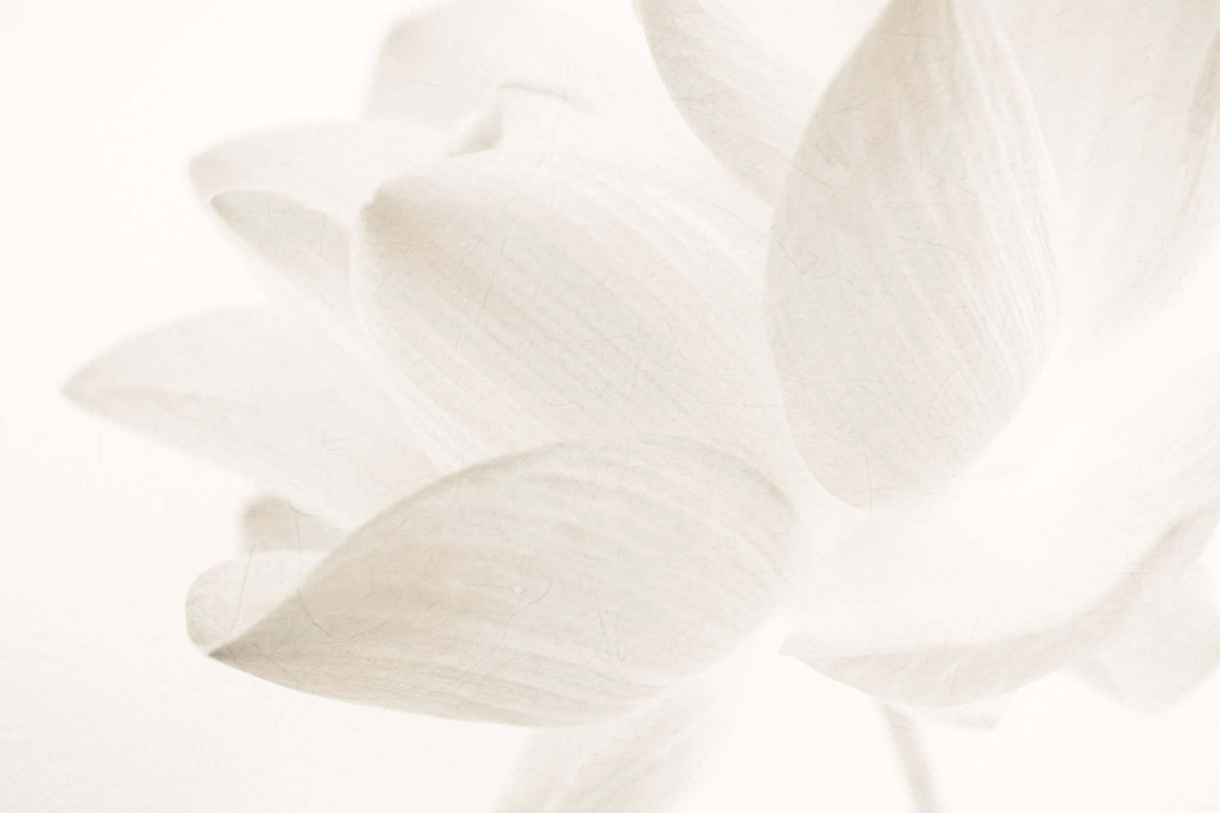 Tara Snell Registered Massage Therapy gallery image 5