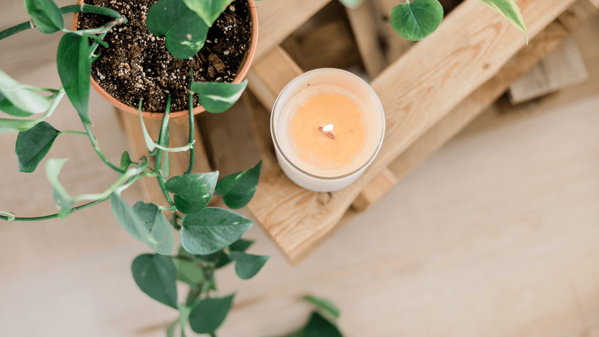 Embodhi Nutrition and Yoga gallery image 2