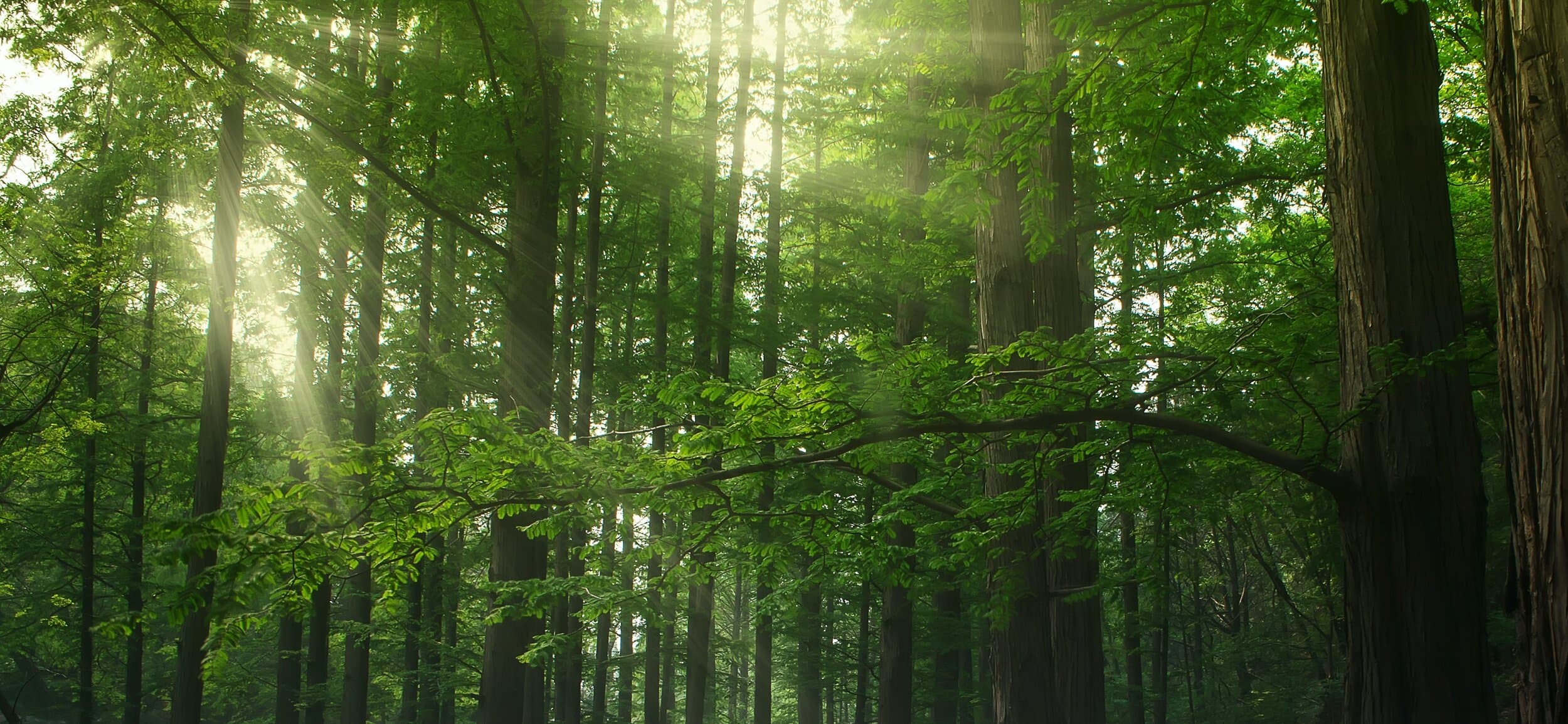 Haven Healthcare gallery image 2