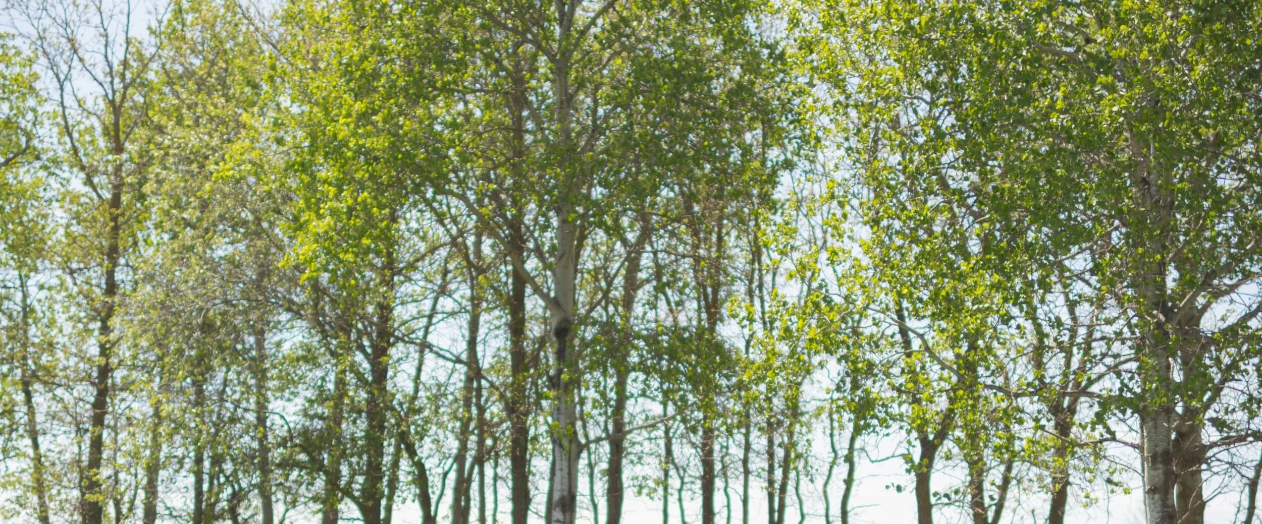 Jenny Gerbrandt Counselling gallery image 2