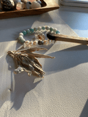 Path To Wellness Co. logo