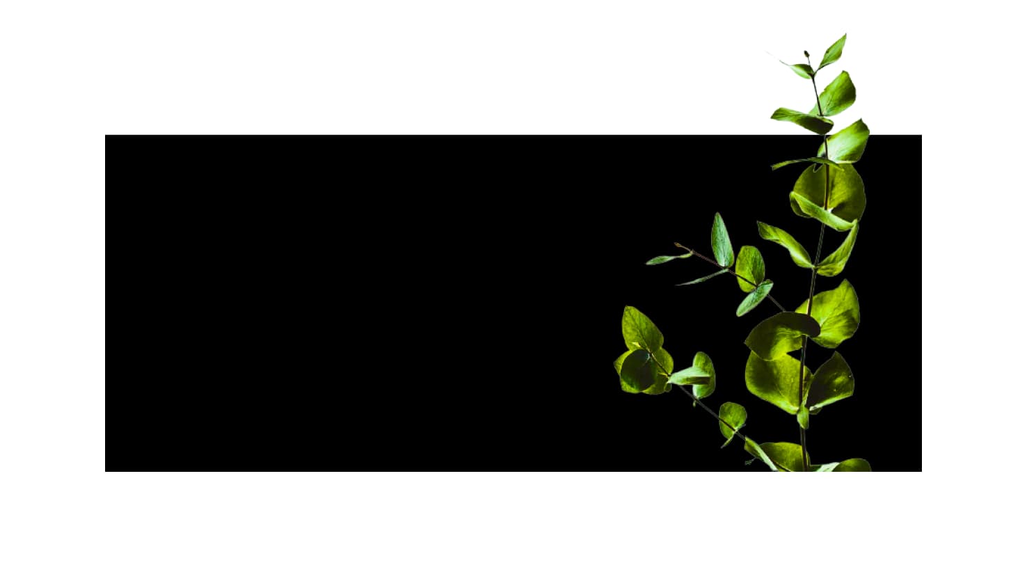 Propel Change Now gallery image 5