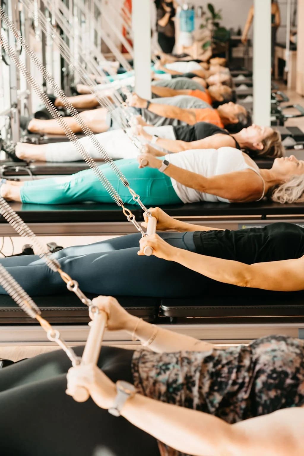 Seed Studio gallery image 4