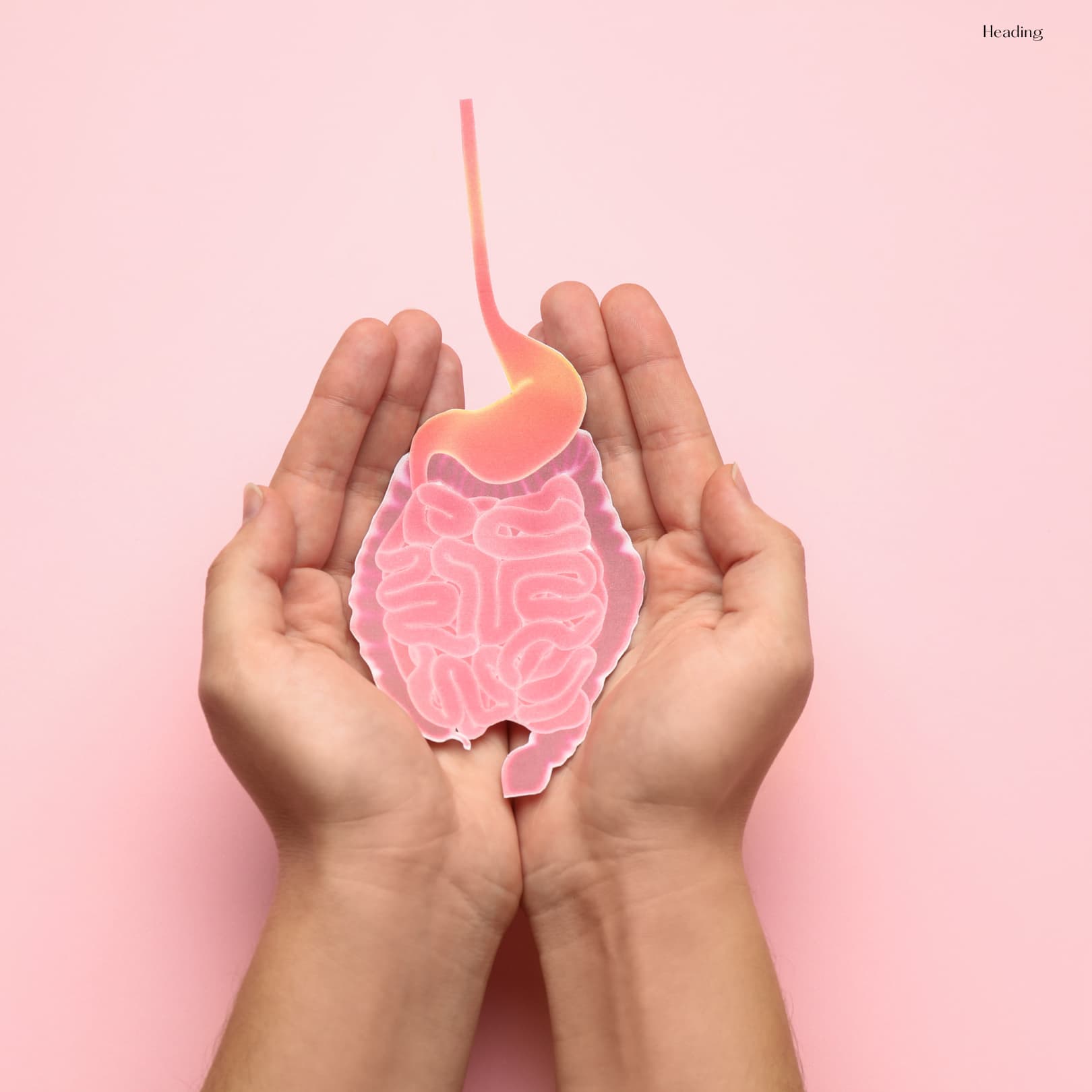 Dr. Grace Ni, Naturopathic Physician gallery image 3