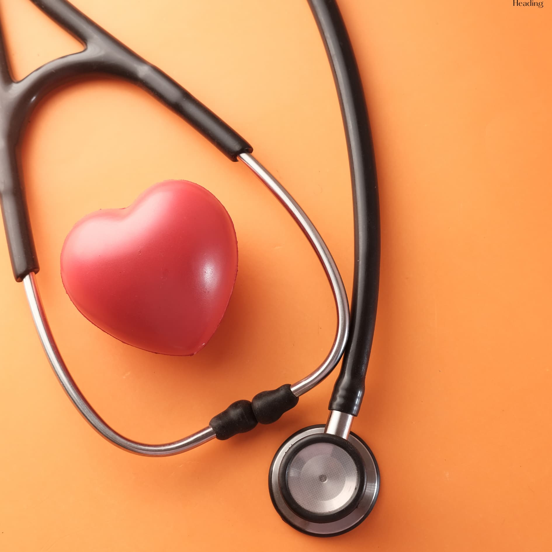 Dr. Grace Ni, Naturopathic Physician gallery image 4