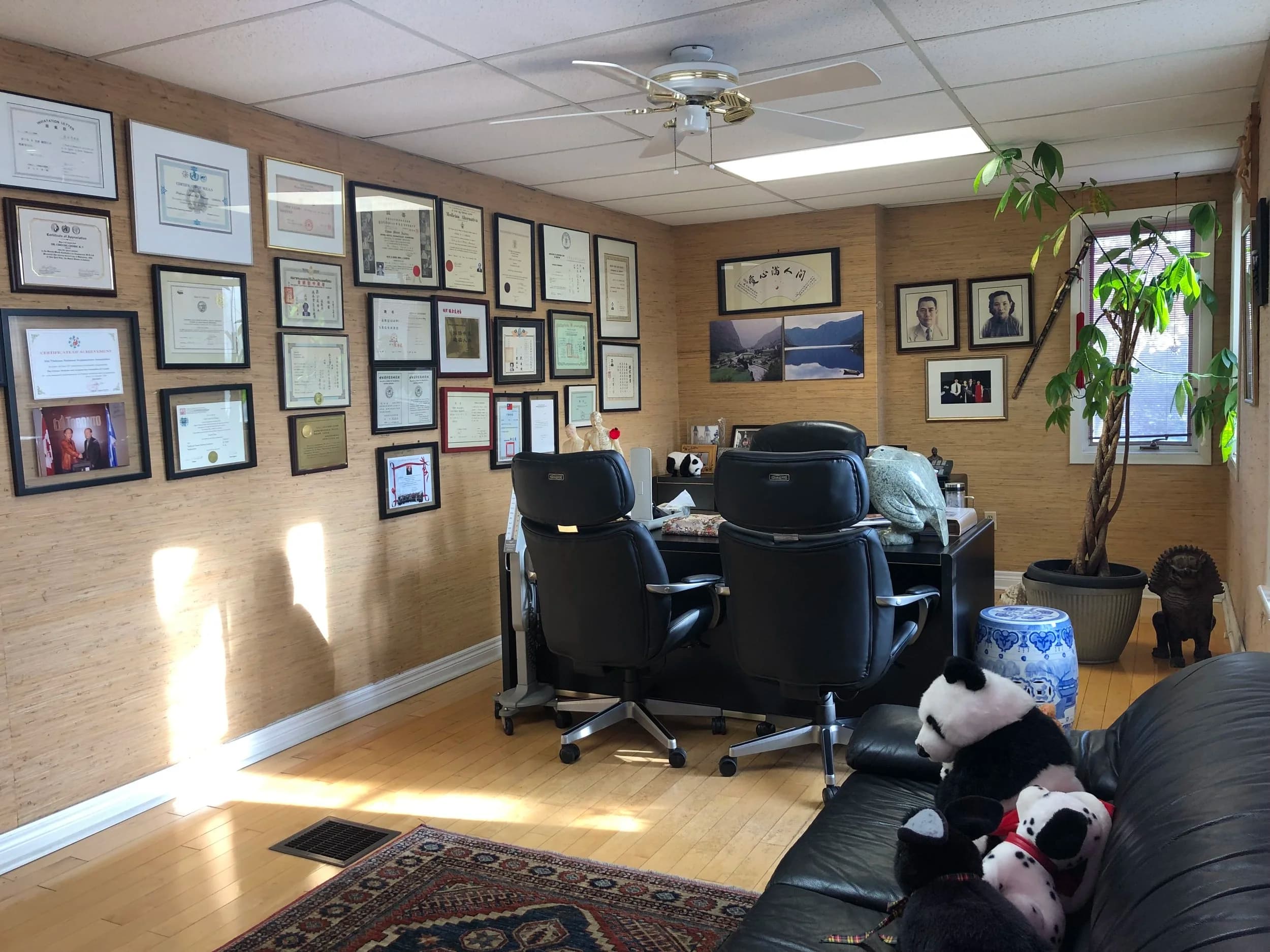 Institute Of Chinese Medicine & Acupuncture gallery image 3