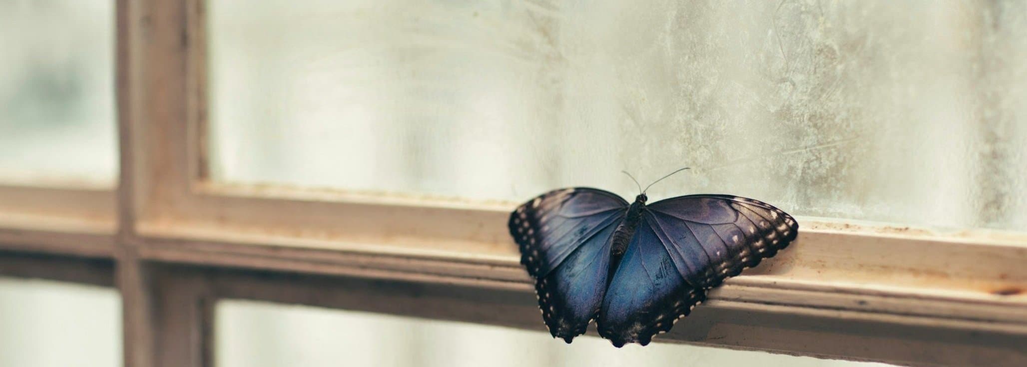 Newmarket Psychotherapy Team gallery image 3