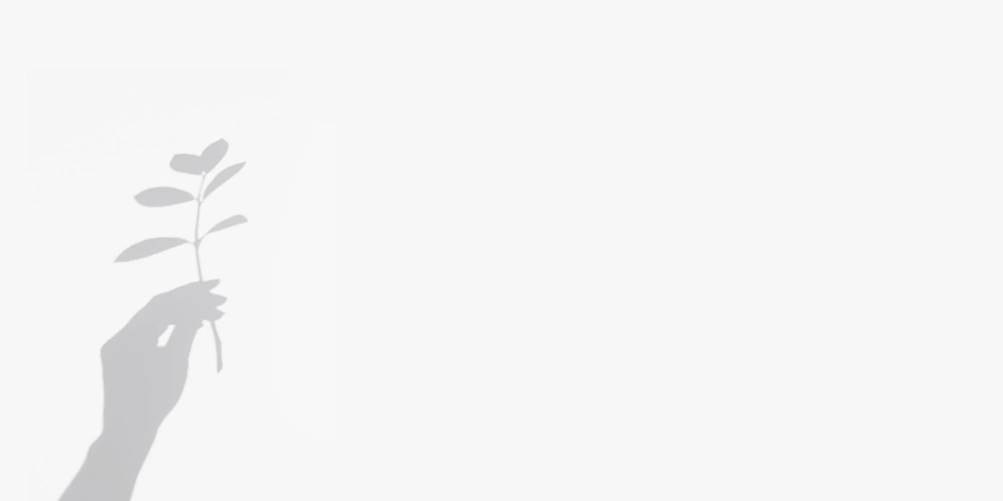 Heal Naturally Holistic Health gallery image 4