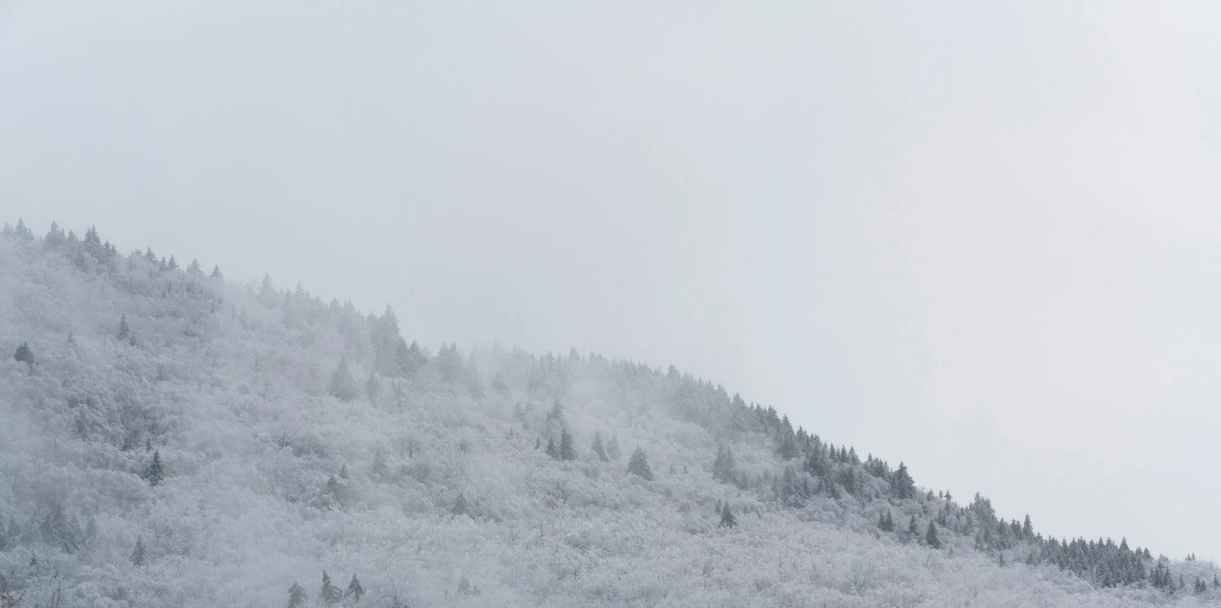 Nurtured Minds Wellness and Therapy Services- Leduc gallery image 2