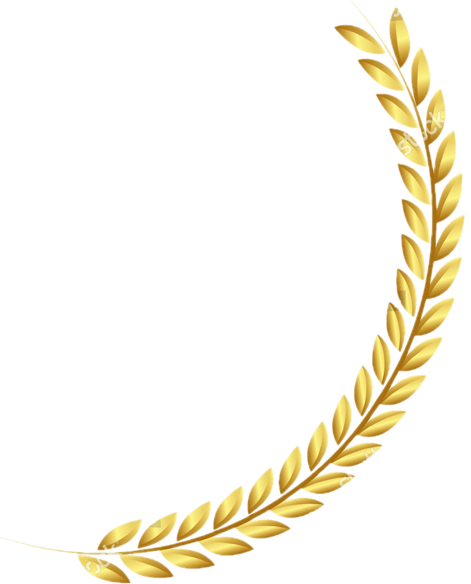 Tailor Made Wellness Clinic gallery image 3