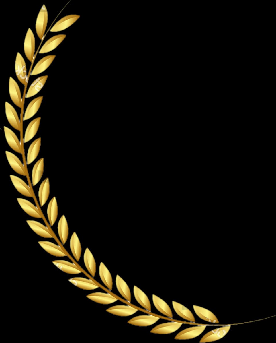 Tailor Made Wellness Clinic gallery image 2