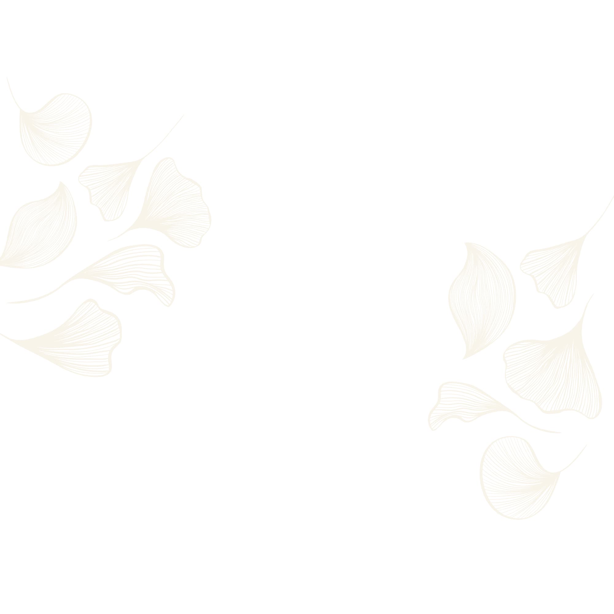 The Soulful Sprout Holistic Nutrition Inc. gallery image 2