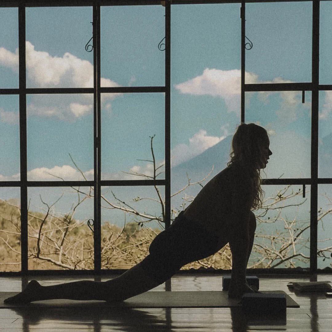 Soulful: Ayurveda, Vedic Astrology & Yoga gallery image 5