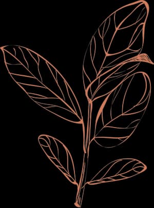 Liz Dornian Nutrition gallery image 5