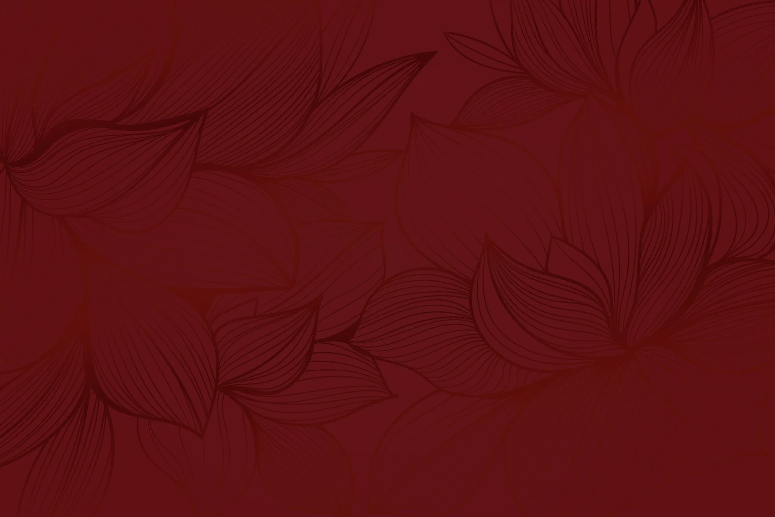 Traditional Thai Massage 2021 gallery image 2