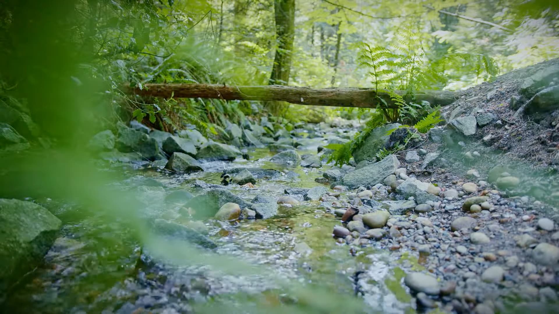 Body Mechanics Massage Therapy LTD gallery image 3