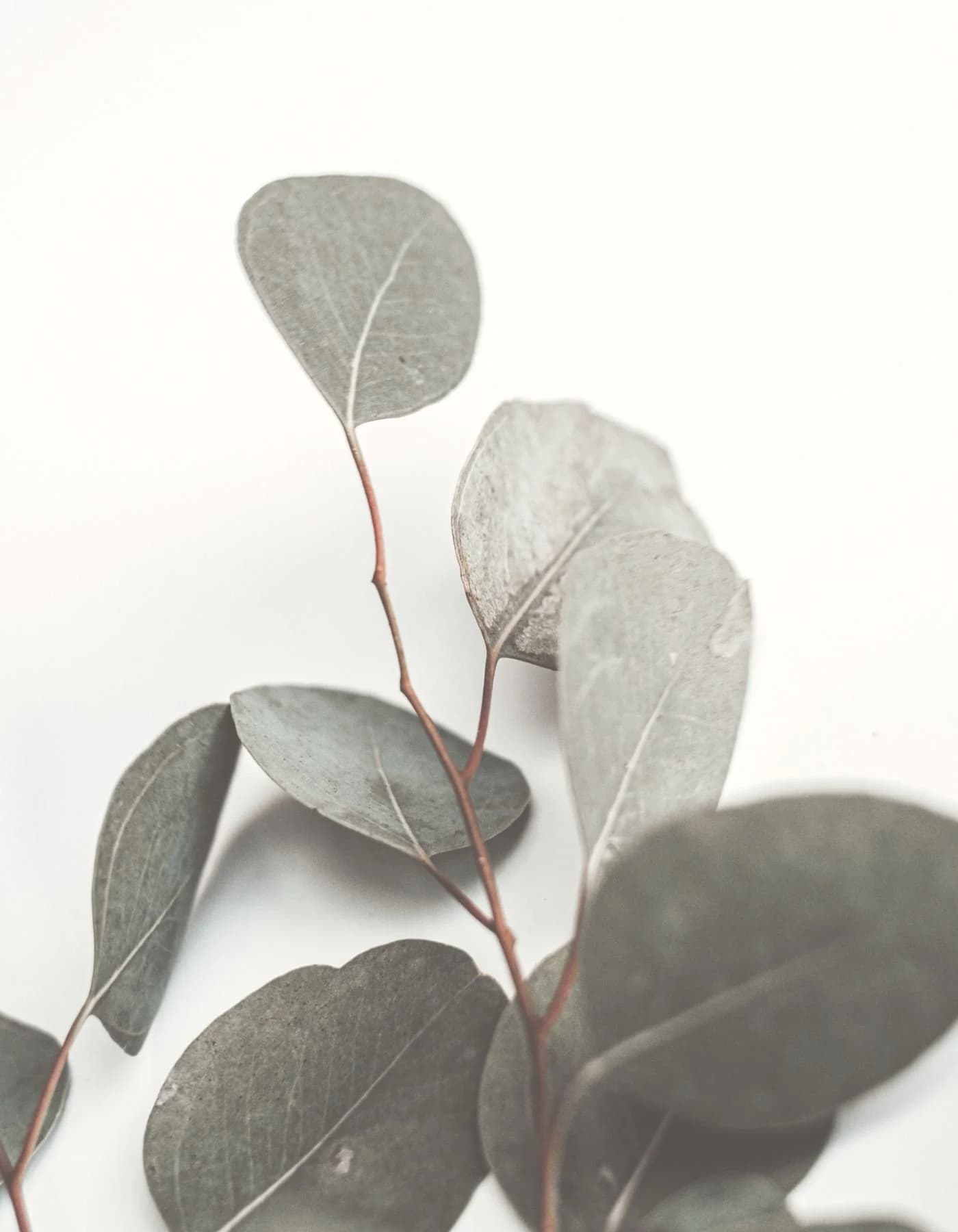 Open Heart Psychotherapy gallery image 4