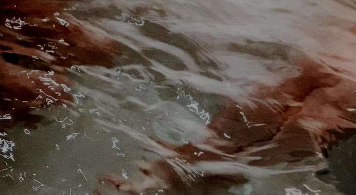 Plunge Wellness gallery image 2