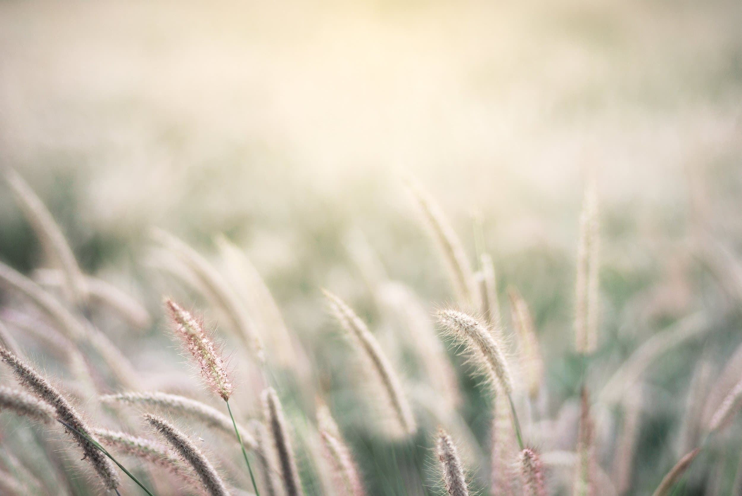 Bonne Vie Medical Clinic gallery image 5