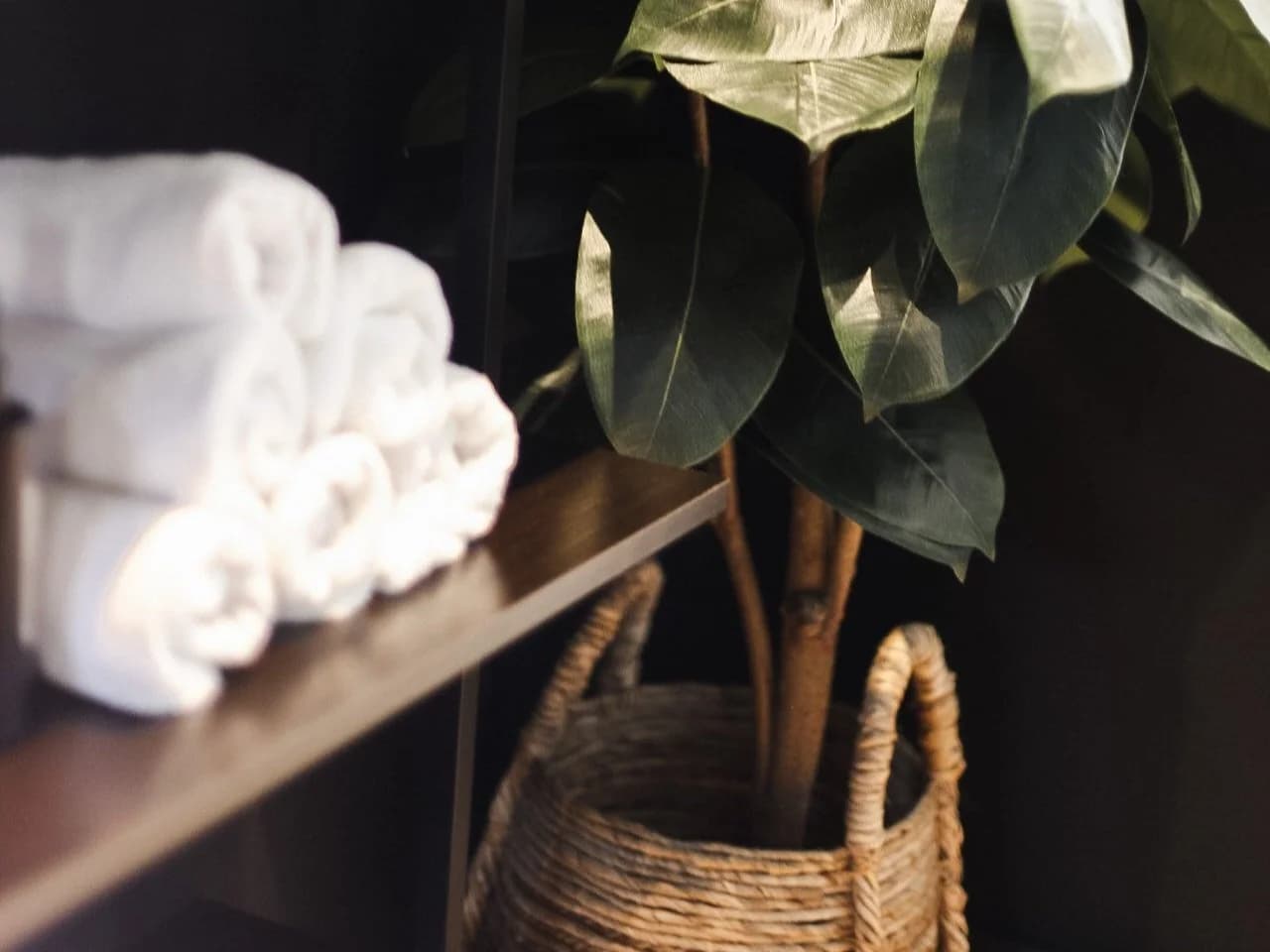 Bloom Health gallery image 2