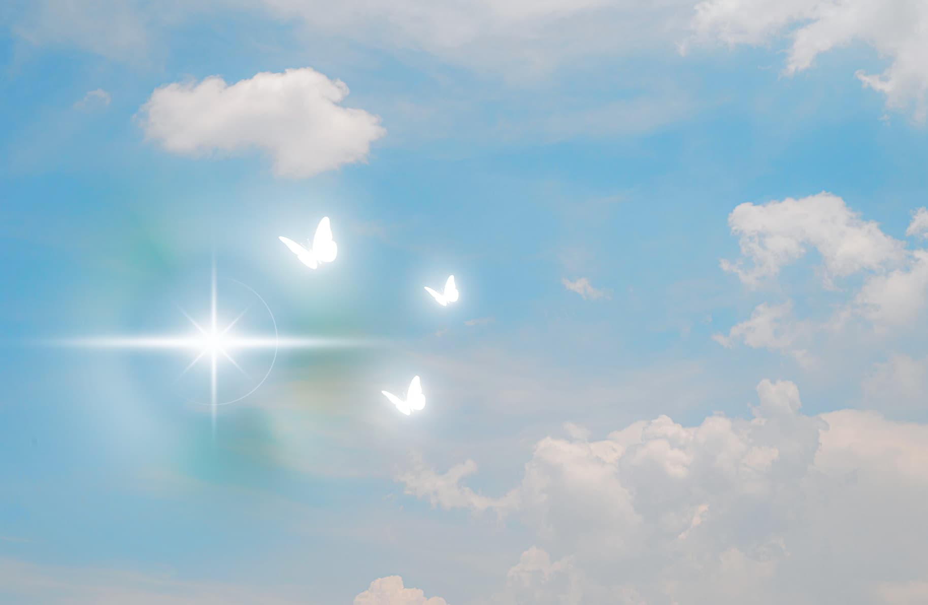 Past Life QHHT & Future Life gallery image 2