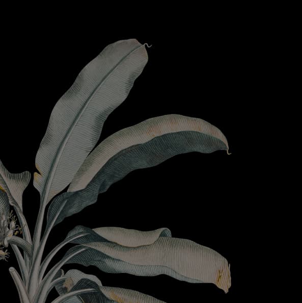 Lanna Thai Massage Montréal gallery image 3