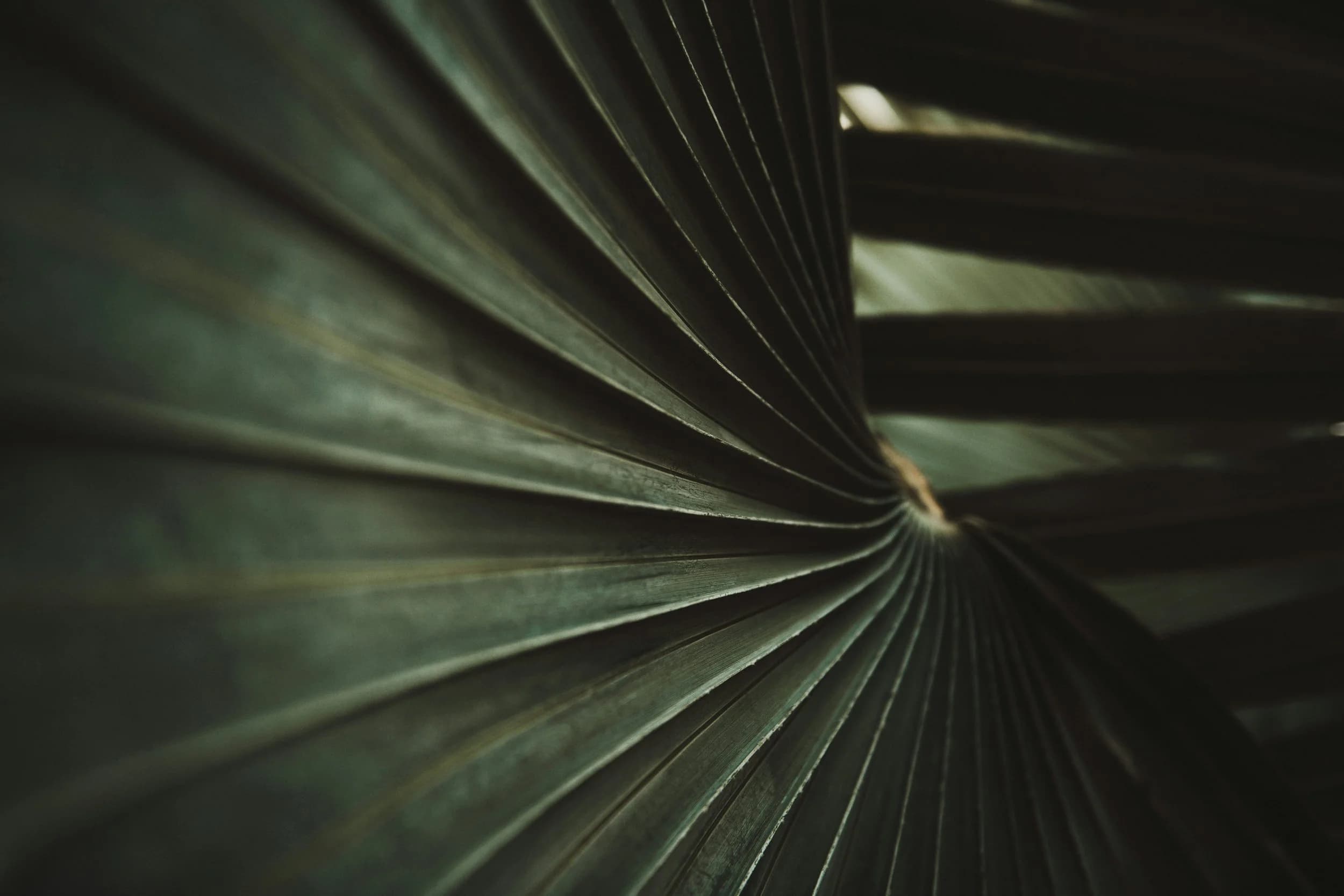 Ritual Urban Retreat gallery image 4