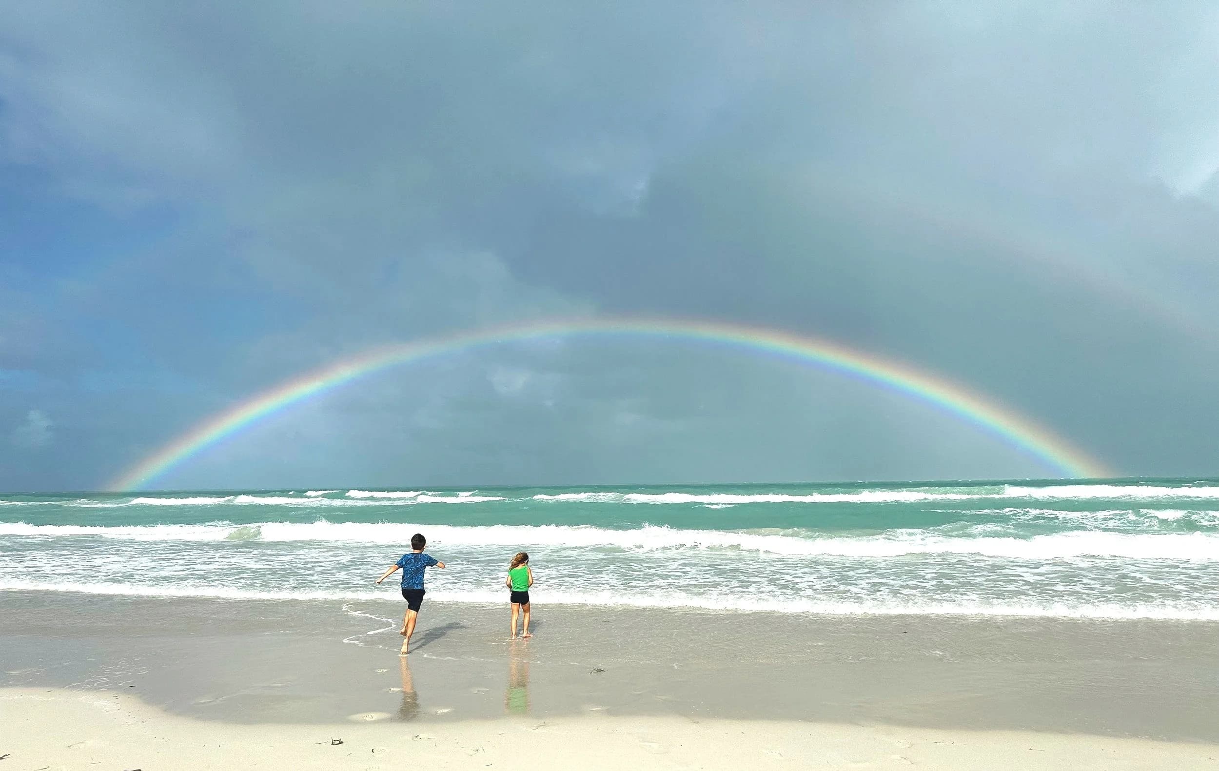 Dragonfly Counselling and Wellness gallery image 5