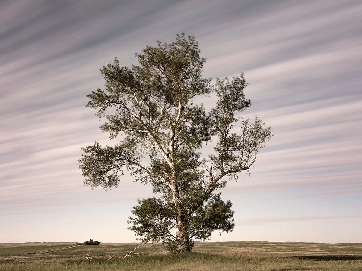 White Oaks Massage & Wellness gallery image 2