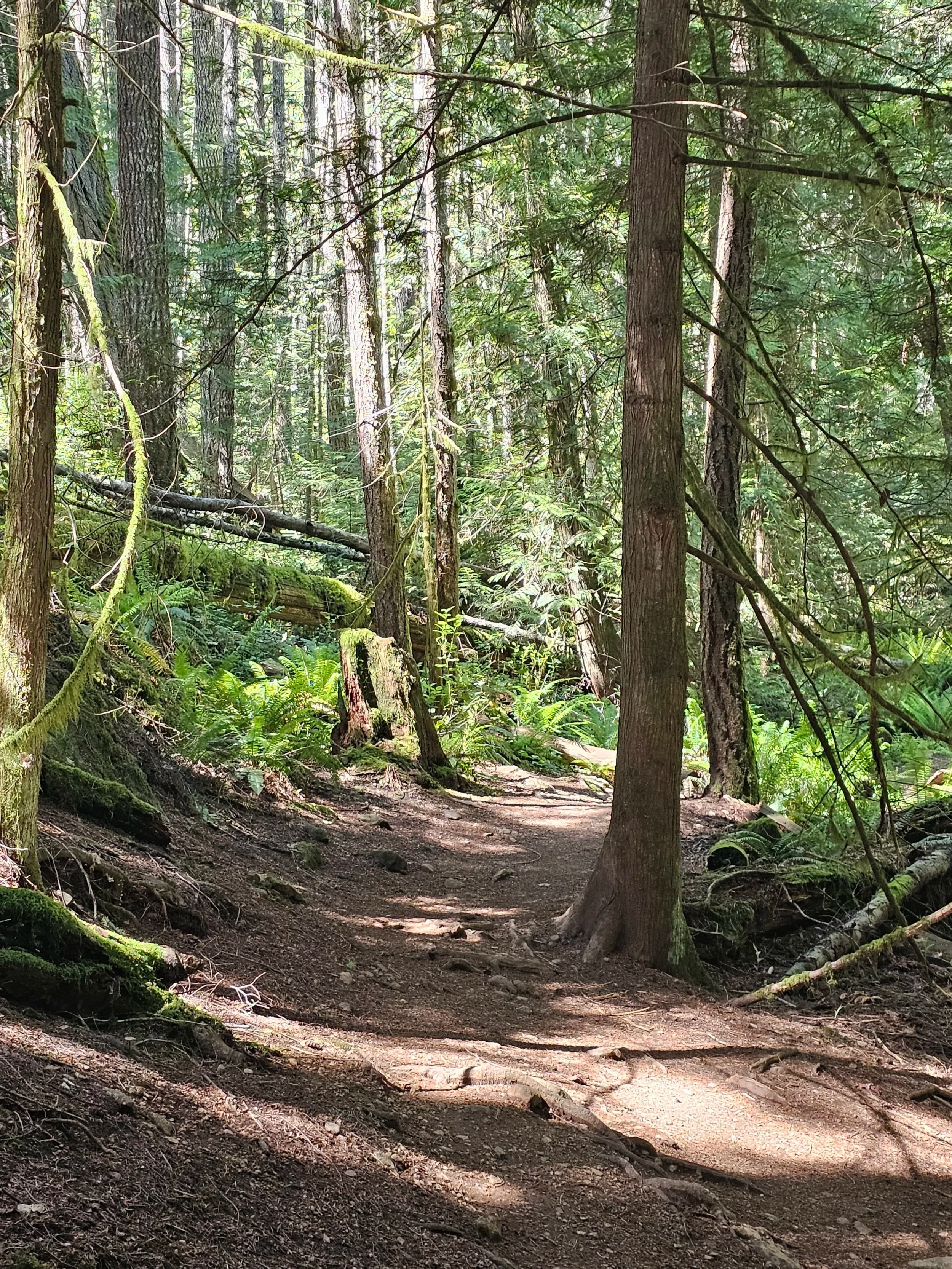 Guided Healing Therapy