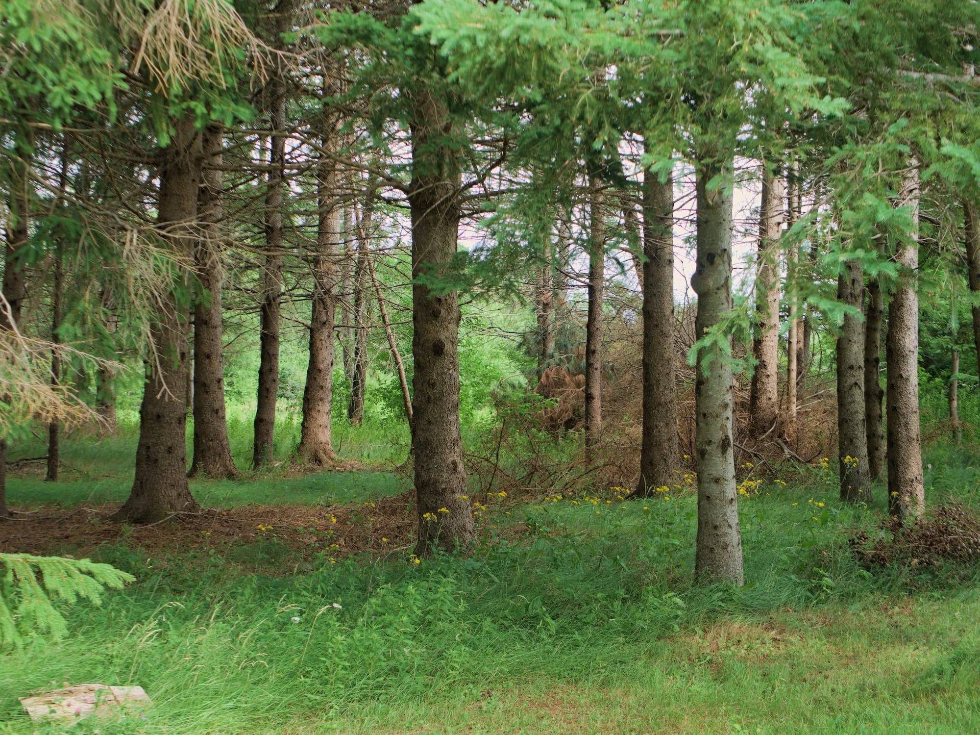 Tatamagouche Centre gallery image 4