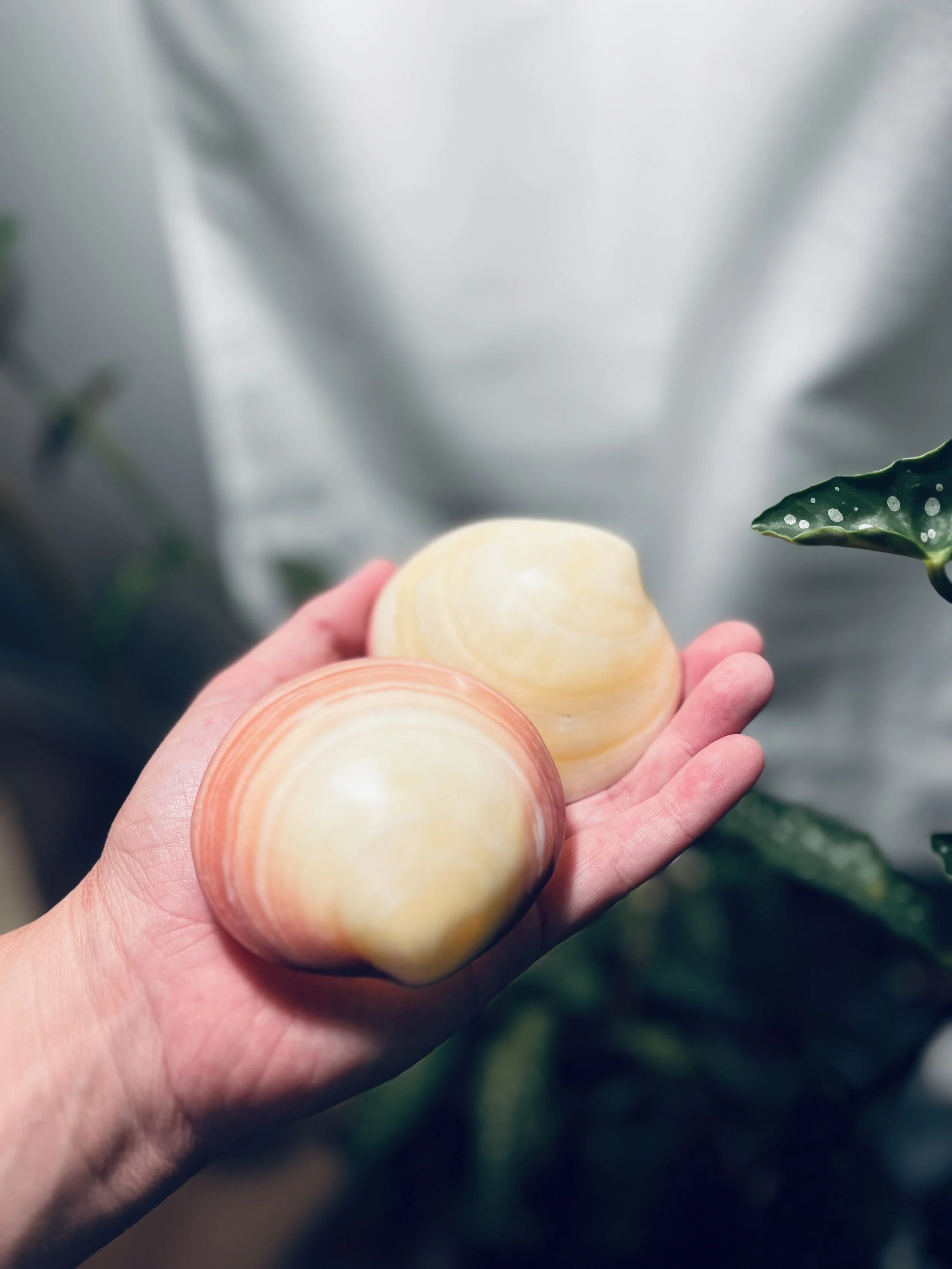 Salt Massage Therapy gallery image 5