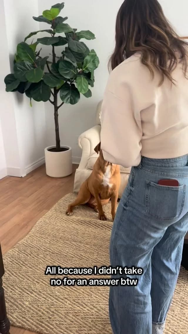 Fairapy gallery image 3