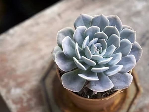 The Balanced Body Registered Massage Therapy gallery image 2