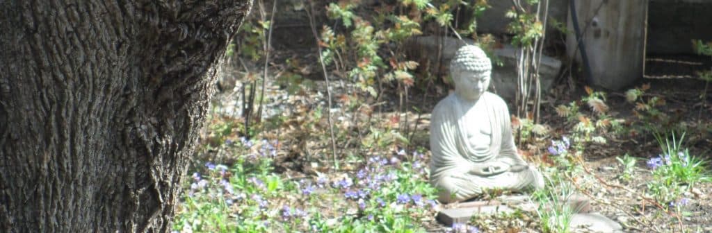 Mahone Bay Meditation Centre gallery image 2