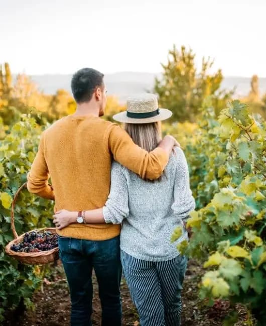 Onyx Counselling and Psychology gallery image 1