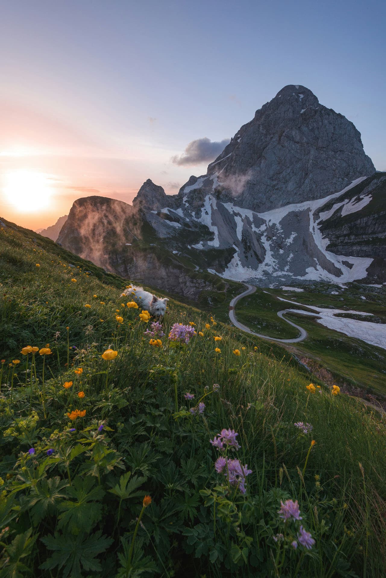 Pacific Solstice Group gallery image 1