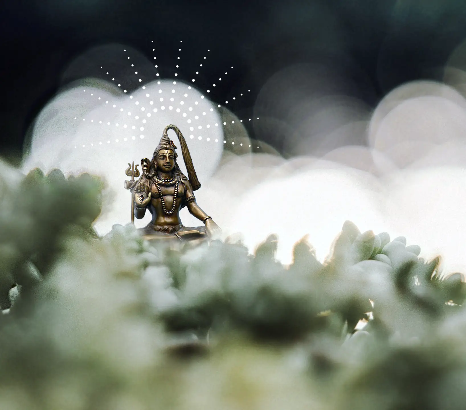 Perceptions Libres gallery image 4