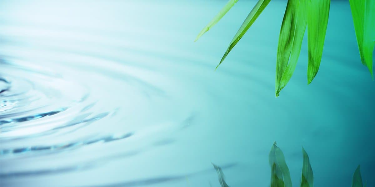 Spajuvenate Holistic Beauty and Wellness gallery image 4