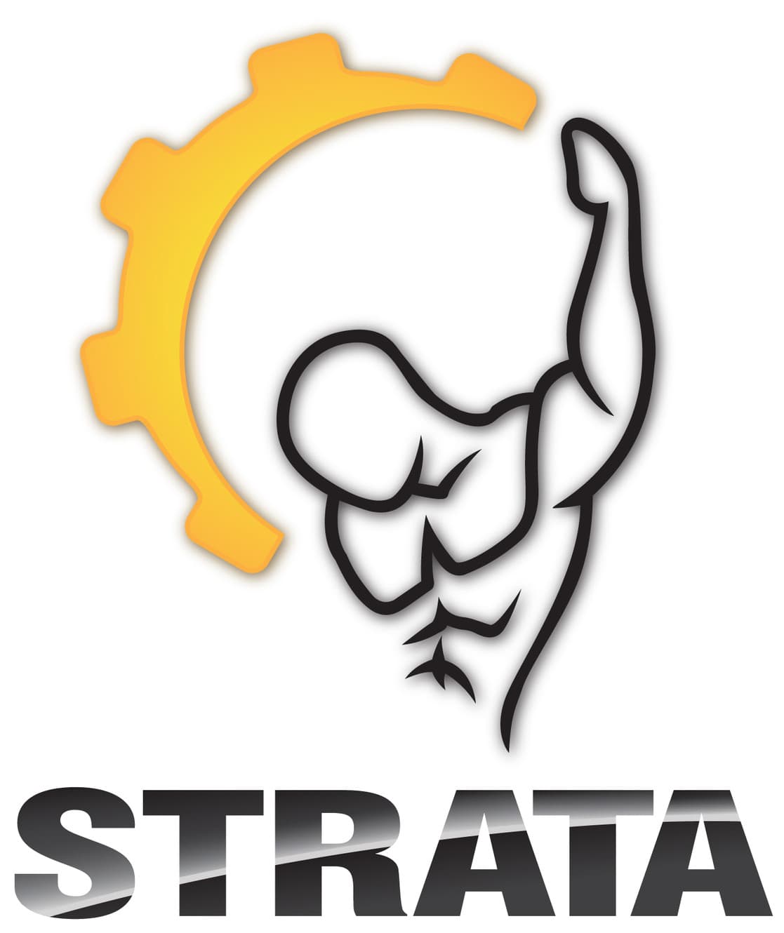 Strata Internal Performance - Muscle System Care & Personal Training