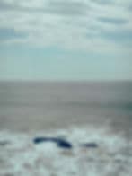 Corpus Functional gallery image 5