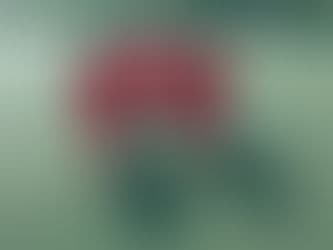 Eminence Nutrition gallery image 4