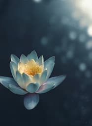 Cove Coaching and Counselling - Amanda Stoddard M.Ed. RPC-C gallery image 4