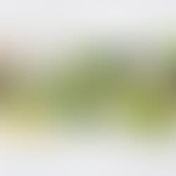 Pioneer Wellness Clinics gallery image 4