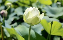 Centre de méditation de l'Estrie gallery image 3