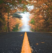 Nest Family Counselling gallery image 5