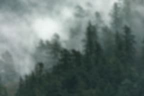 Solidarity Therapy gallery image 1