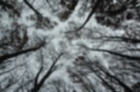 The Cottage, Registered Massage Therapy