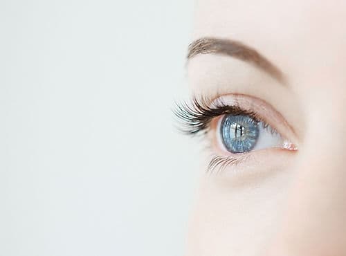 Tricia Nickl Holistic Nutrition & Iridology gallery image 3