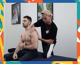 mvt+ Le Plateau-Mont-Royal gallery image 4